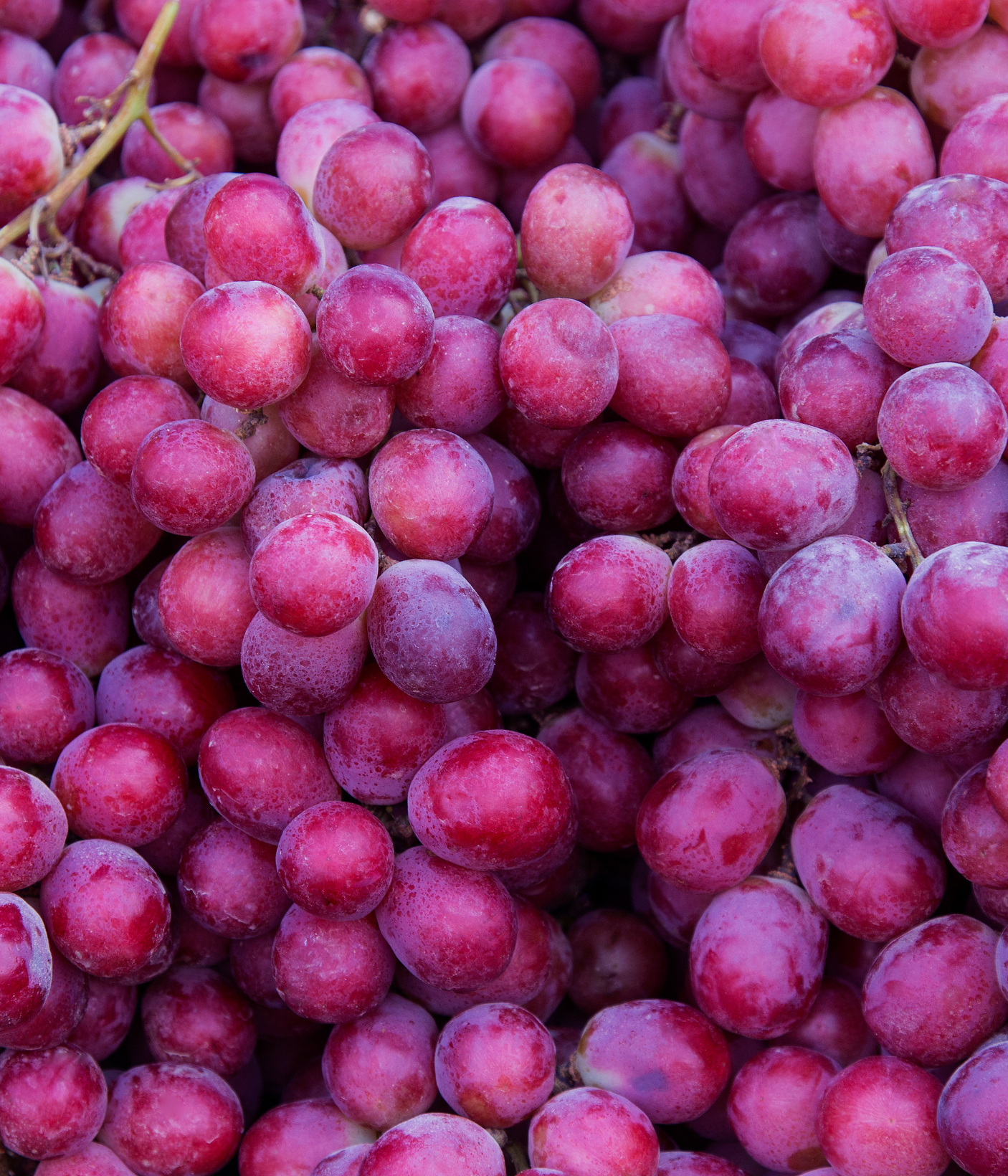 Antioxidants
