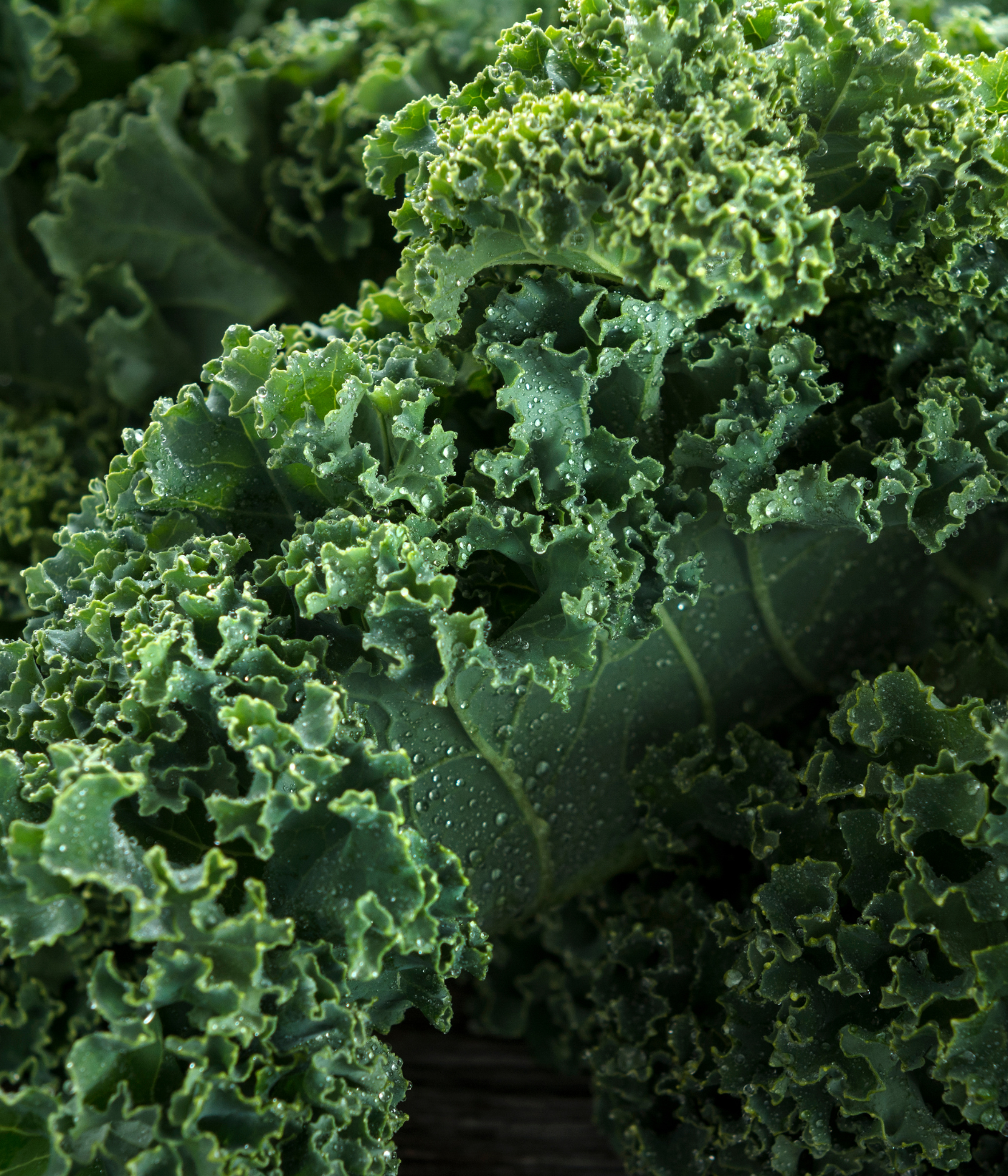 Kale